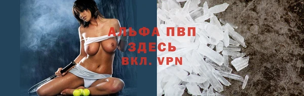 твердый Горняк