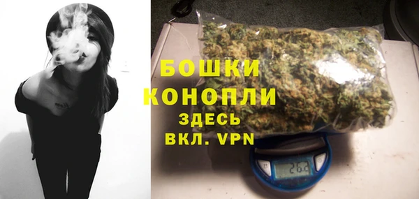 твердый Горняк