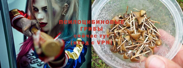 твердый Горняк
