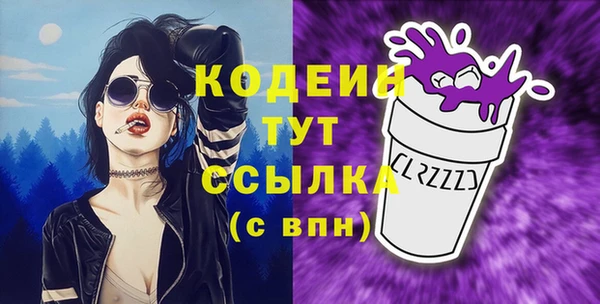 твердый Горняк