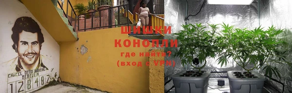твердый Горняк