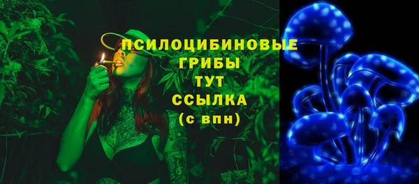 apvp Гусь-Хрустальный