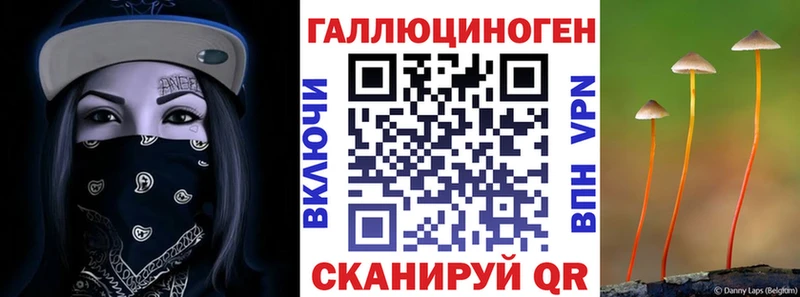 Купить  Кореновск  Псилоцибиновые грибы Magic Shrooms 